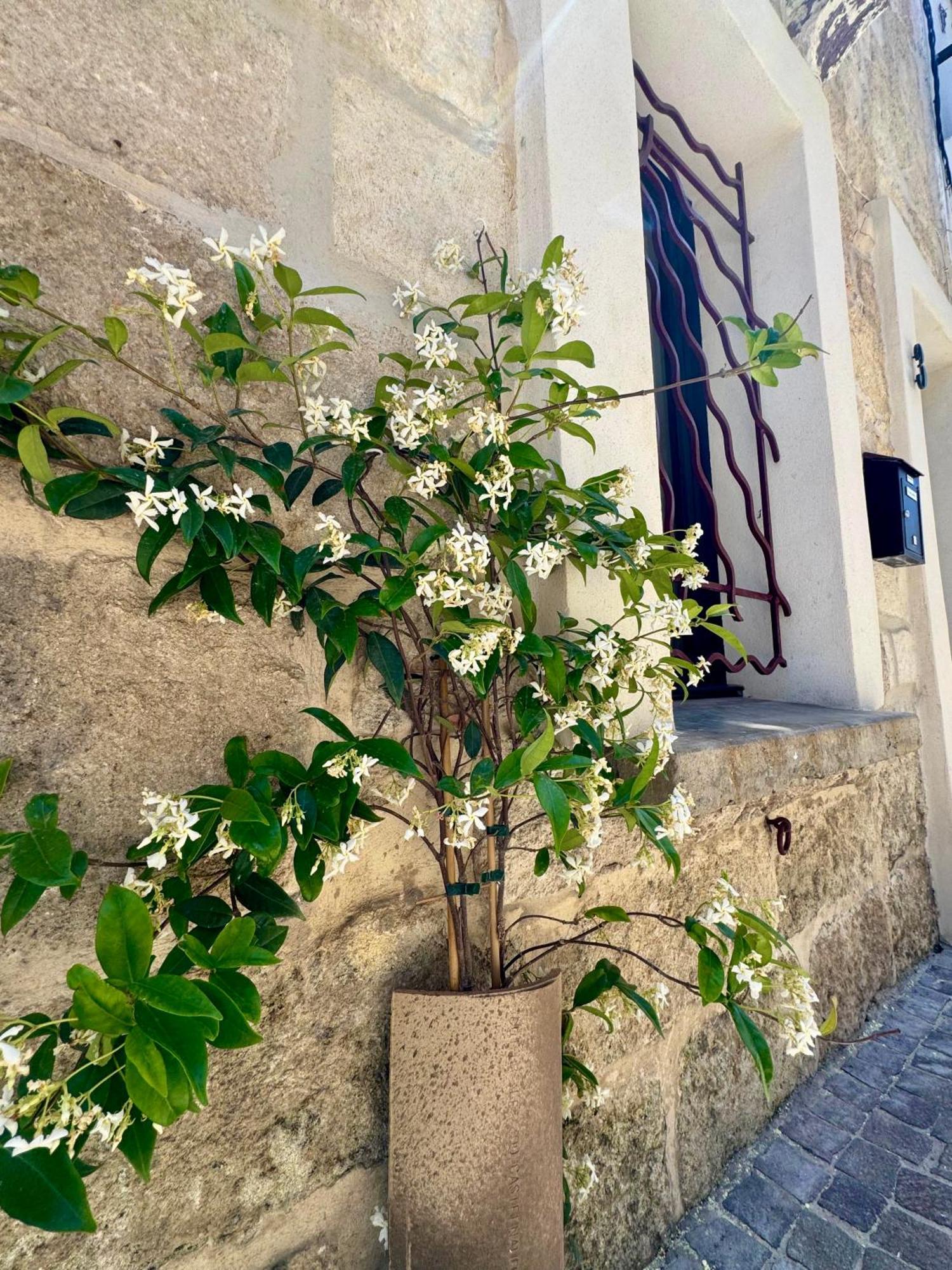 Maison De Village Renovee ! Le Grau-du-Roi Exteriér fotografie