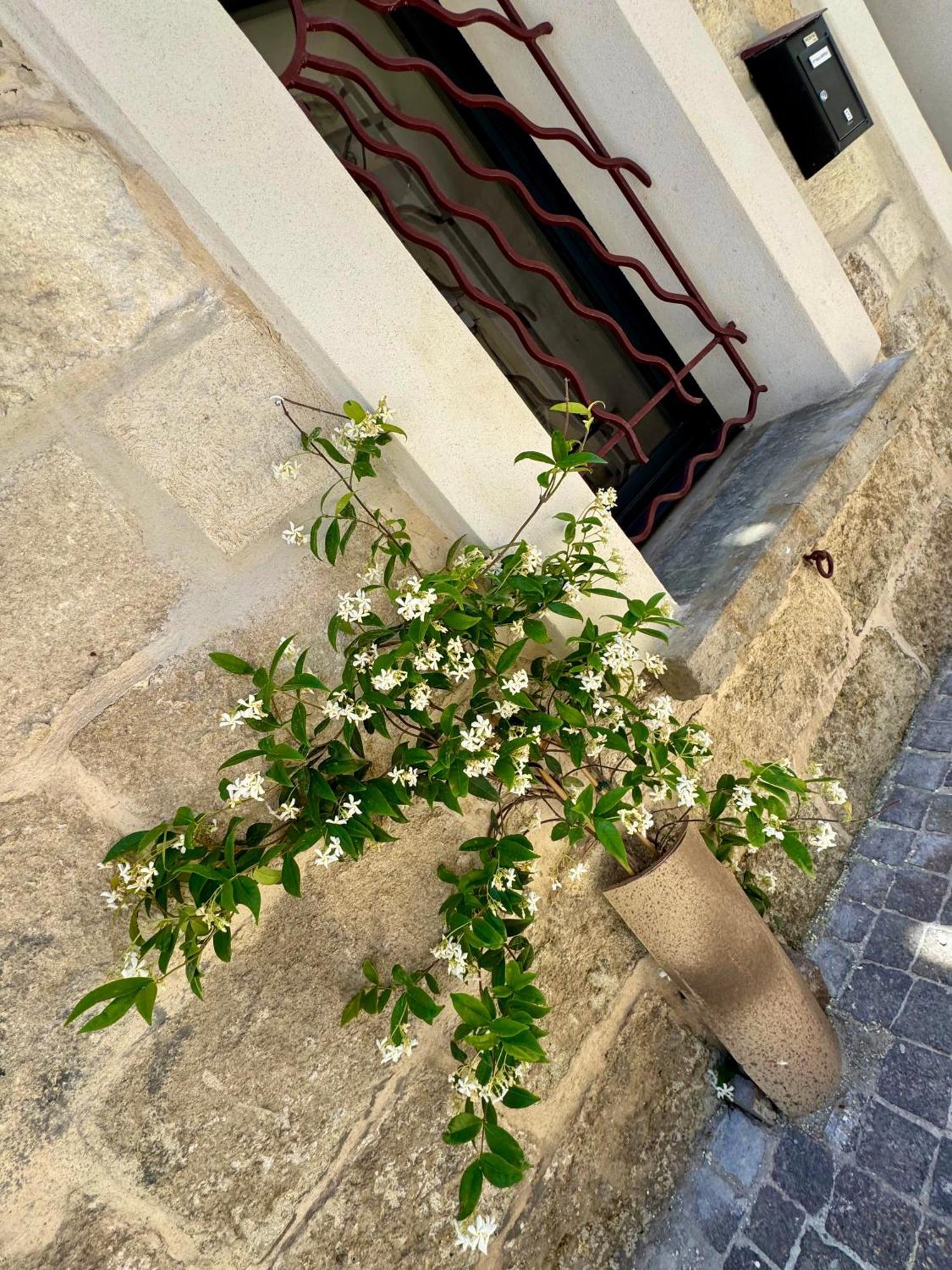 Maison De Village Renovee ! Le Grau-du-Roi Exteriér fotografie